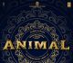 Animal First Look Out Today At Mid-Night, Starring Ranbir Kapoor And Rashmika Mandanaa