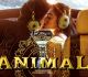 Hua Main From Animal Is Out, An Intense Romantic Song