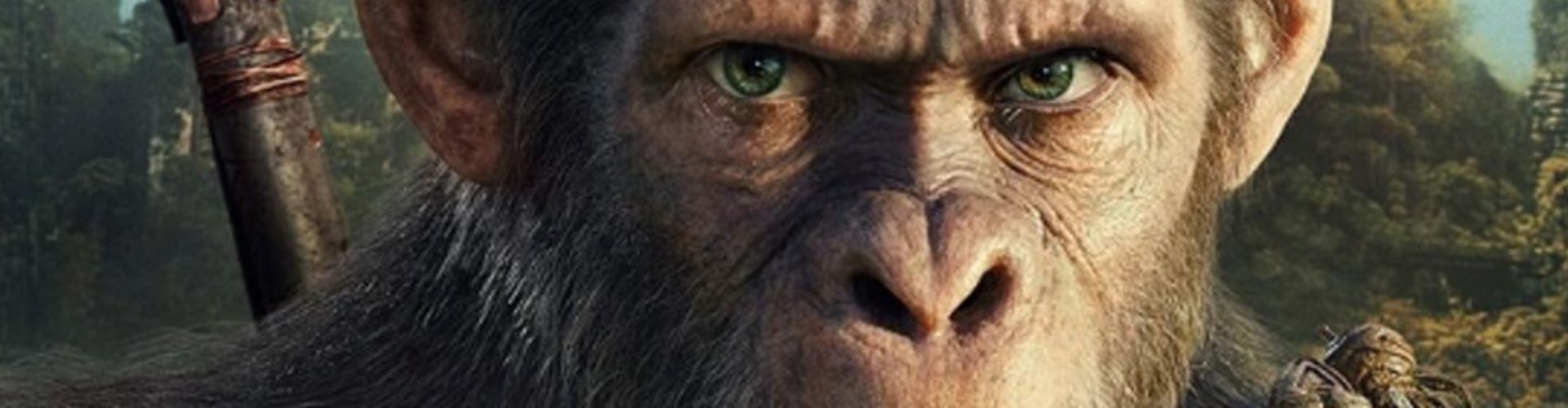 Kingdom Of The Planet Of The Apes Trailer Is Out