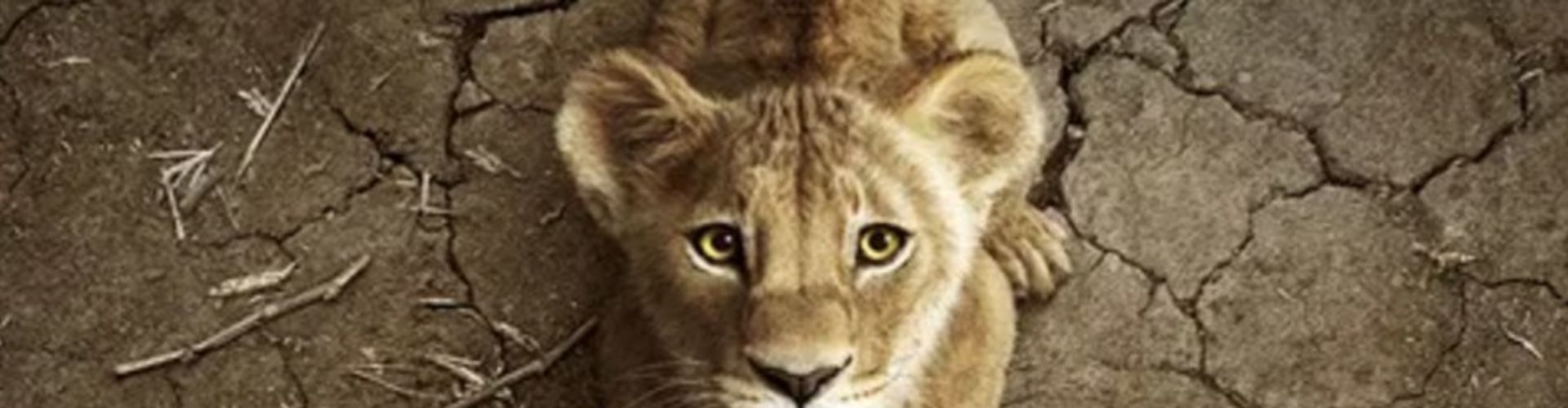 Disney Drops Trailer for Mufasa: The Lion King Prequel