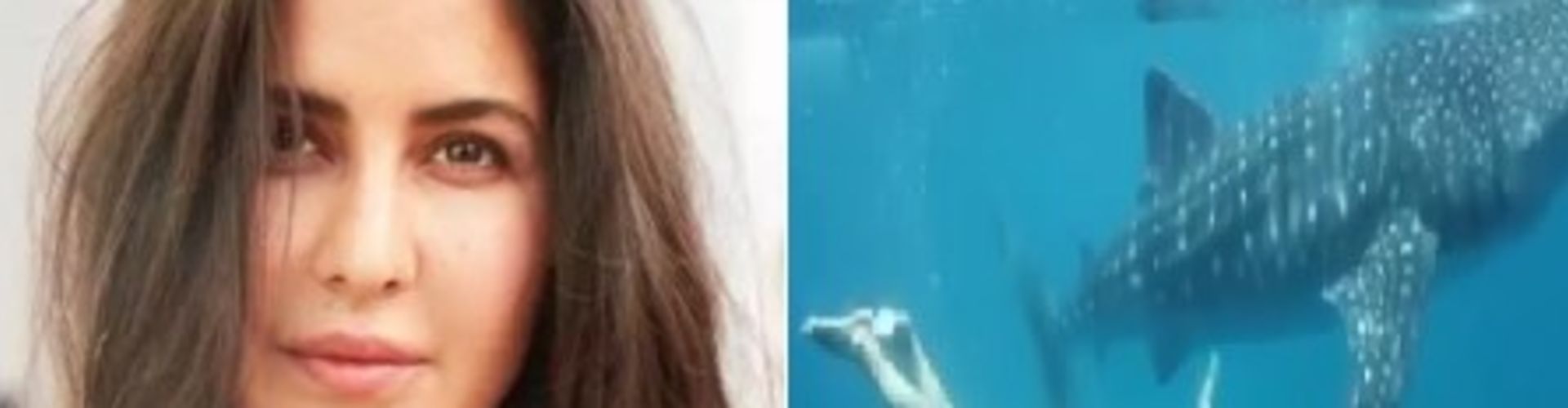 ​Katrina Kaif Marks World Ocean’s Day With Throwback Video