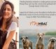 Feed The Stray Urges Katrina Kaif